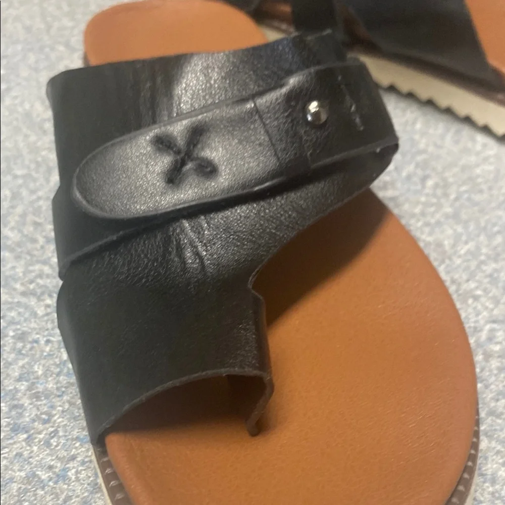Black and Brown Slide Sandals with Buckle Details